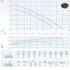 Dreno BIC 32-2/028 M Tauchpumpe mit zweikanaligem Laufrad фото 3 — BTS Engineering