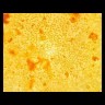 Видео товара
