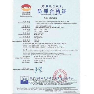 Бочковий насос BTS-HD-EX2-V+PPHT-1000mm — BTS Engineering