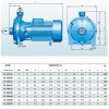 Bomba de riego con doble impulsor B2C 25-140 (6/67), 1,5kW, 2880 фото 4 — BTS Engineering