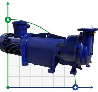 2BV5131 Ex вакуумный насос взрывозащищенный — BTS Engineering