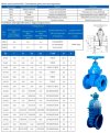 DN80 PN16 Zasuwa z gumowanym klinem z reduktorem 30х539р Korpus żeliwny, uszczelka: EPDM, GOST фото 2 — BTS Engineering