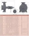 Pompa gorącego oleju EMSE EKY 32-200, 7,5 kW, 380 V, 2900 z silnikiem, sprzęgło montowane na ramie фото 3 — BTS Engineering