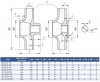 Pompe monobloc cantilever KM 150-125-250, 18,5kW, 1500 фото 4 — BTS Engineering