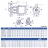 Pompe monobloc cantilever KM 150-125-250, 18,5kW, 1500 фото 5 — BTS Engineering