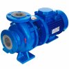 Pompa wspornikowa monoblok KM 150-125-250, 18,5kW, 1500 фото 1 — BTS Engineering