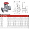 DN150, PN10 Засувка шлангова алюмінієва, Sleeve:NBR фото 2 — BTS Engineering