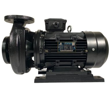 Насос термомасла RGZ-30, -30°C+200°C — BTS Engineering