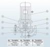 IHG BGLHB 200-400C (160/32), 22kW, 1480, Ex - насос ін-лайн нержавіючий фото 2 — BTS Engineering