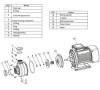 Pompe pour purée, jus, vin, bière DWO B50/037, 380V/50Hz, AISI 304 фото 3 — BTS Engineering