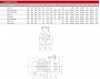 Thermalölpumpe RGZ-50E -30°C+200°C фото 4 — BTS Engineering