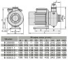 Насос із нержавіючої сталі DWO B250/05, 220V/50Hz, INOX для миючих установок фото 2 — BTS Engineering