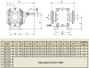 Mineral oil gear pump EMSE EDP 1050, DN100, 50 m3/h, without motor фото 3 — BTS Engineering
