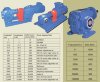 Mineral oil gear pump EMSE EDP 1050, DN100, 50 m3/h, without motor фото 5 — BTS Engineering