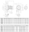Edelstahlpumpe NX65/1500 (160), 11 kW, 138 m3/h, 40,5 m, 380V/T, AISI 304 (EBARA 3M 65-160/11) фото 3 — BTS Engineering