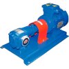 Zahnradpumpe zum Pumpen von Grubenöl EMSE EDP 1006 AISI 304, 1 1/2" 6 m3/Jahr, 5,5 kW, 1500 U/min фото 1 — BTS Engineering