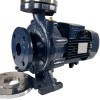 Bomba monobloc de suministro de agua BST 65-315/45, 3000 фото 6 — BTS Engineering