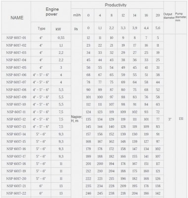 Скважинный насос 6 дюймов Watermot NSP 6017/17, 9,3kW, 380V — BTS Engineering