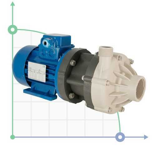 Magnetic coupling pump DM 06 PP, VITON, 0,25 кВт, FITTING NPT фото 1 — BTS Engineering