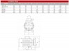 Hochtemperatur-Wirbelpumpe WD-07E, 380V aus Edelstahl -30°C+200°C фото 3 — BTS Engineering