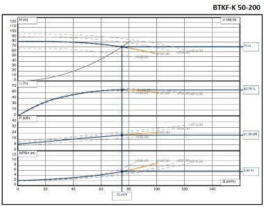 Насосный агрегат для термомасла ВTKF-K 50-200, 22 kW (3480) 60 Hz — BTS Engineering
