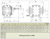 Шестеренчатый насос для перекачки горячей карамели EMSE EDP 1010 AISI 316, 1 1/2" 10 м3/ч, без двигателя фото 5 — BTS Engineering