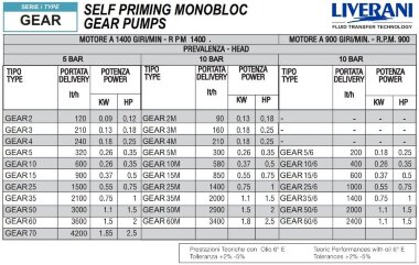 Шестеренчатый насос для перекачки соевого масла LIVERANI GEAR 4-G TF 0,18 кВт, 1400 об/мин, 380 В — BTS Engineering