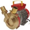 Pompe à anneau liquide BE-T 40 pour le lait фото 1 &mdash; BTS Engineering