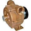 Жидкостно-кольцевой вихревой насос для морского сектора LIVERANI NAUTIC 70 FM 12V, 500 л/мин, бронза, без двигателя фото 1 — BTS Engineering