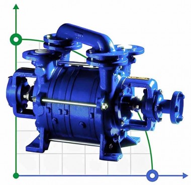 Вакуумный насос PW.4.21.1.1010.1 без двигателя, рамы и муфты — BTS Engineering