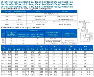 DN250 PN25 Задвижка клиновая с выдвижным шпинделем из нержавеющей стали 30нж64нж DN250 PN25, ГОСТ — BTS Engineering