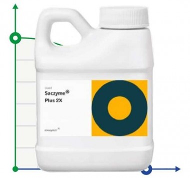Saczyme® plus 2x (saczyme® Plus 2x) glukoamylaza — BTS Engineering