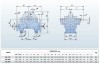 BSC 250-370A/B, (3000) - pompe à double entrée фото 3 — BTS Engineering