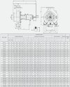 Насос для гарячого масла BTKF-K 100-250, imp 244 mm, 3000 фото 3 — BTS Engineering