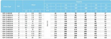 Скважинный насос YSP CI 6003/18, 9,3kW, 380V — BTS Engineering