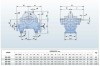 BSC 300-435A/B, (3000) - pompe à double entrée фото 3 — BTS Engineering