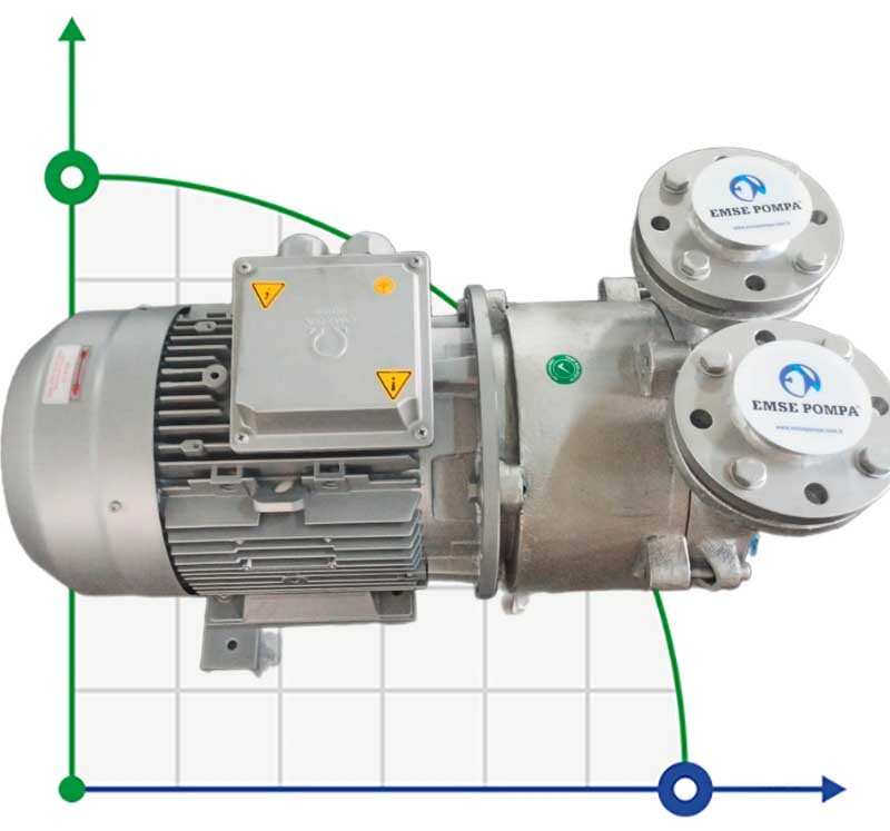 Вакуумний насос ESV 270/100, AISI 304, 285 м3/год, 7,5 кВт, 1450 об/хв фото 1 — BTS Engineering
