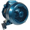 Water ring vacuum pump ESV 115/50, 51 m3/h, 1.5 kW, 3000 rpm фото 7 — BTS Engineering