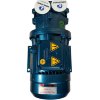 Water ring vacuum pump ESV 115/50, 51 m3/h, 1.5 kW, 3000 rpm фото 8 — BTS Engineering