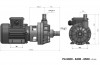 Pompa plastikowa chemiczna DiaPump PA-6500 (1,1 kW) фото 3 — BTS Engineering