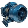 Вакуумний насос водокільцевий для сушки ESV 130/65, 78 м3/год, 2,2 кВт, 3000 об/хв фото 9 — BTS Engineering