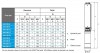 Tauchbohrlochpumpe 4 Zoll A45-100-13, 220V фото 3 — BTS Engineering