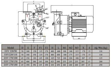 Вакуум-насос ESV 270/150, AISI 304, 384 м3/год, 11 кВт, 1450 об/хв — BTS Engineering