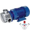 Импеллерный насос для краски, клея, чернил LIVERANI EP MINOR 40 BY-PASS NR TF ATEX/M 1,1 кВт 900 об/мин фото 1 — BTS Engineering