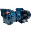 Vakuum-Wasserringpumpe ESV 150/50, 110 m3/h, 3 kW, 3000 U/min фото 9 — BTS Engineering
