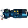 Vakuum-Wasserringpumpe ESV 150/50, 110 m3/h, 3 kW, 3000 U/min фото 12 — BTS Engineering