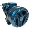 Vakuum-Wasserringpumpe ESV 150/50, 110 m3/h, 3 kW, 3000 U/min фото 14 — BTS Engineering