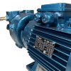 Vakuum-Wasserringpumpe ESV 150/50, 110 m3/h, 3 kW, 3000 U/min фото 15 — BTS Engineering