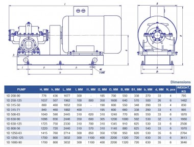 Насосный агрегат 1Д 250-125б, 110 кВт, 3000 двухстороннего входа — BTS Engineering
