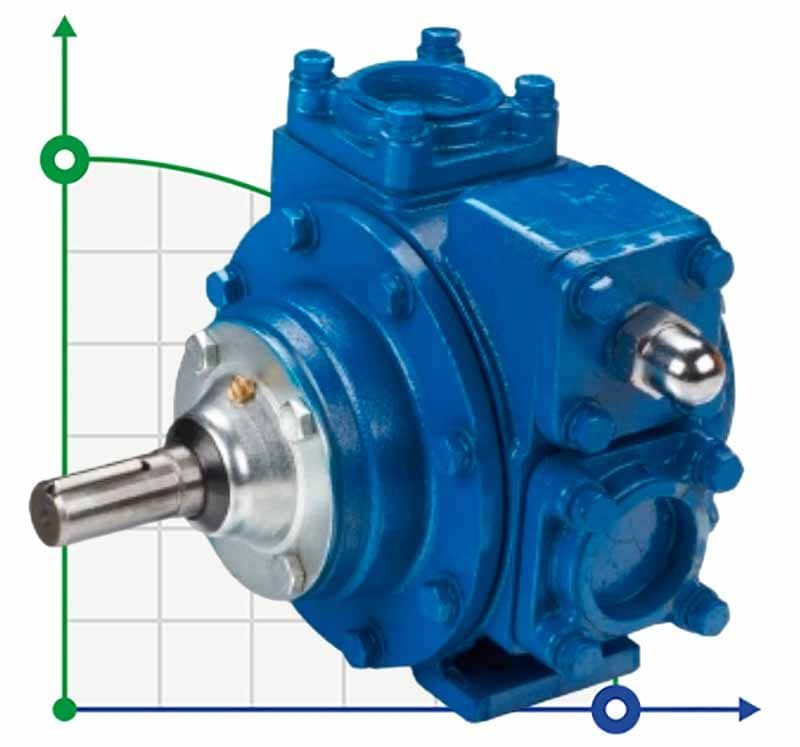 Pumpe für Biokraftstoffe VANE PUMP YA-65 2,5 Zoll 500 l/min, 640 U/min Drehschieberpumpe фото 1 — BTS Engineering